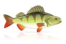 bia mara le haghaidh pancreatitis